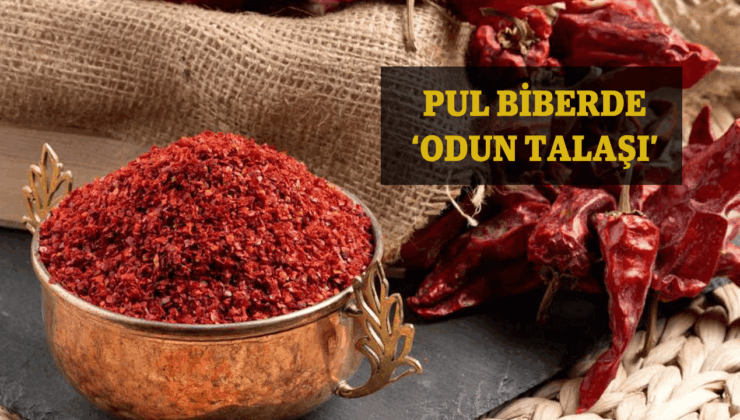 Sofraların Vazgeçilmezi Pul Biberde Şok Edici Hile: Odun Talaşı Skandalı!